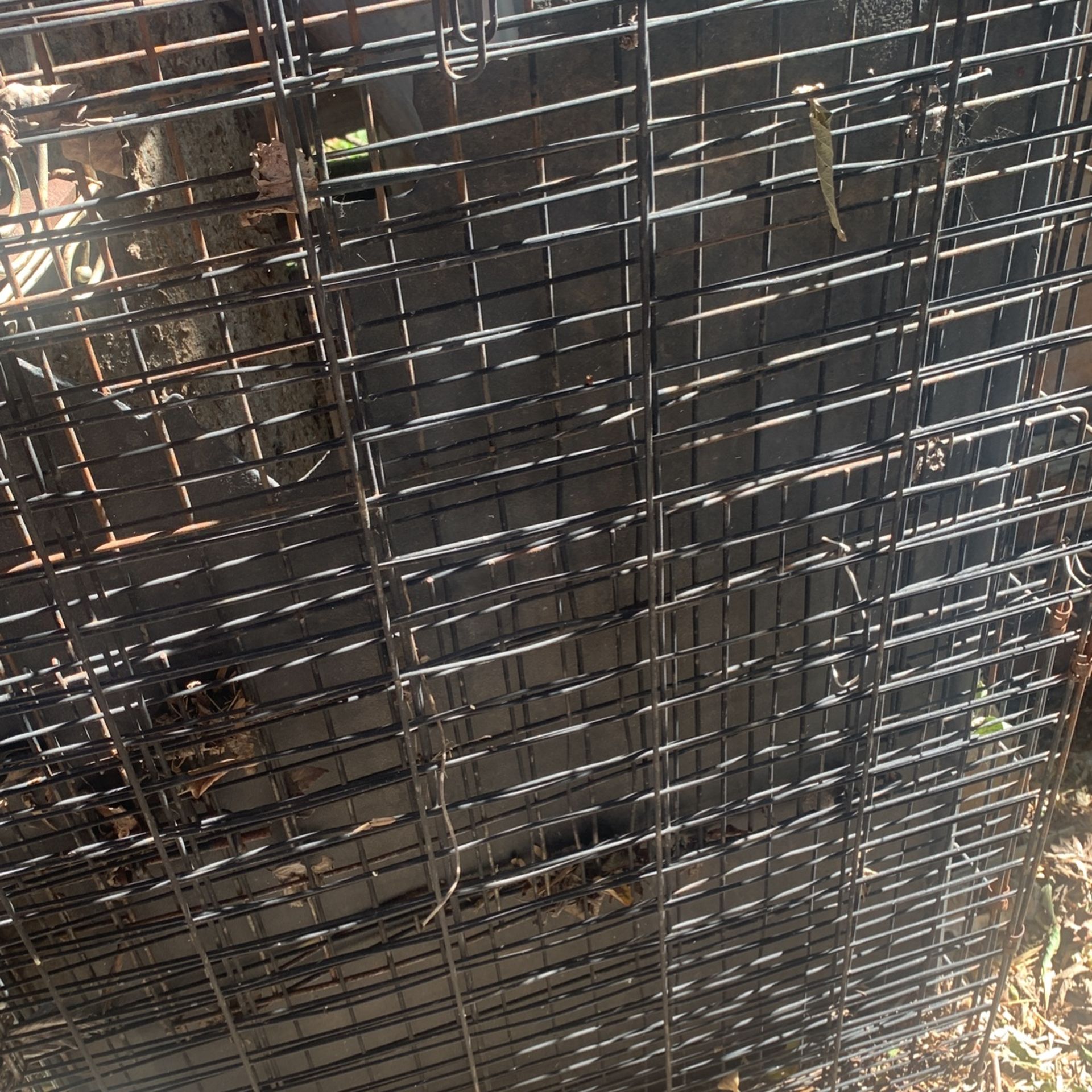 Dog Kennel Xl