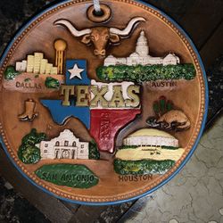 Decorative Wall Decor - TEXAS Souvenir Wall Plate Longhorn/Lone Star