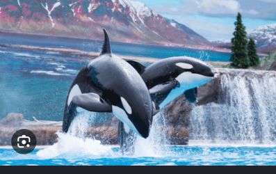 Seaworld