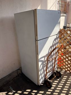 Refrigerator good back up or garage free