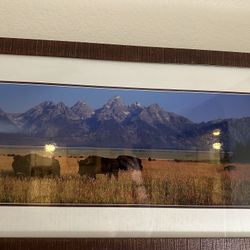 Jackson Hole Painting