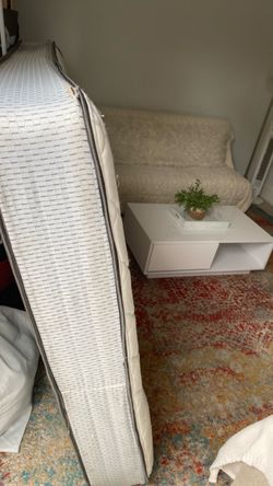 Free queen sized mattress