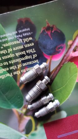 2007 Honds OEM brake bleeders