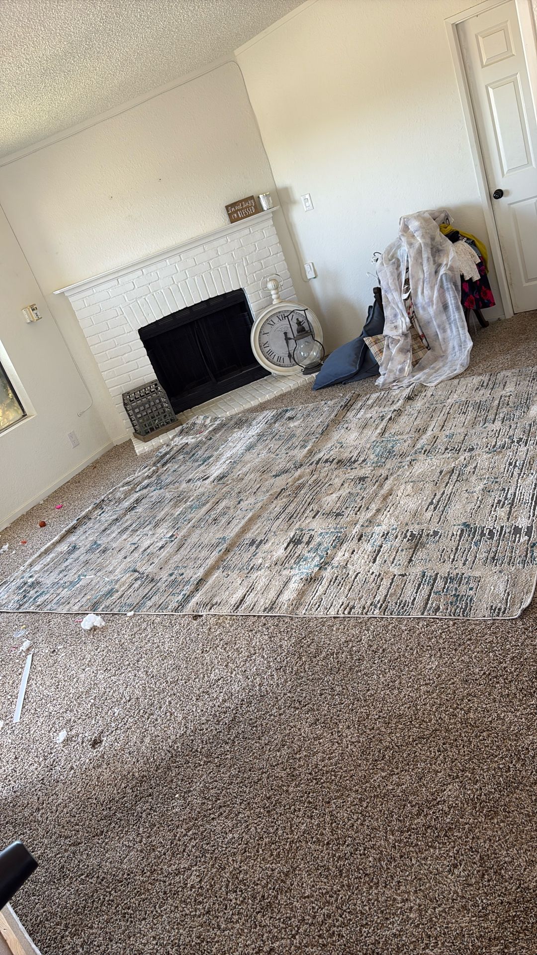 Large Living Room Area Rug