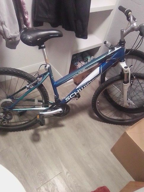 Schwinn Side Winder Bike