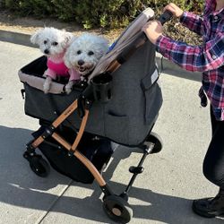 Luxury Dog Stroller