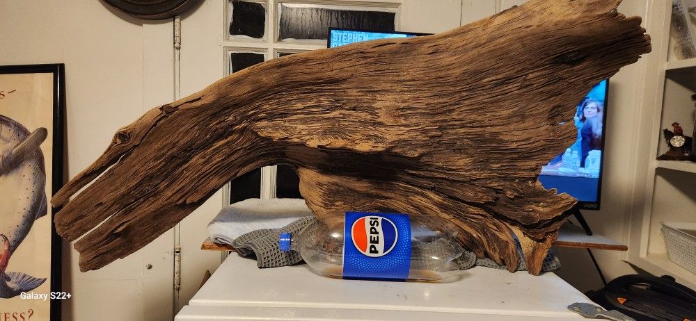 Wood pieces for taxidermy fish birds e t c