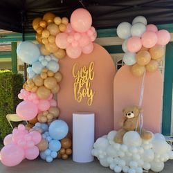 Girl Or Boy Gender Reveal
