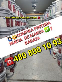 Pintura ala venta