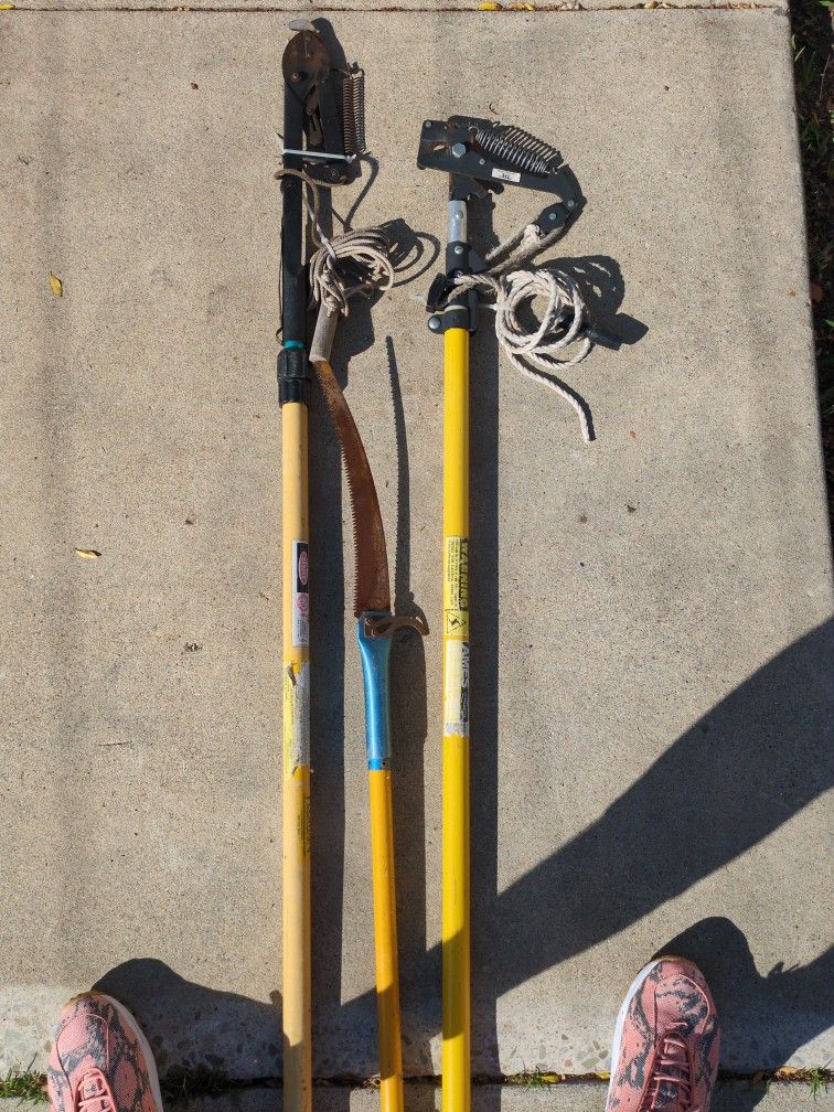 Tree Trimmer
