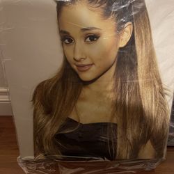 Ariana Grande Canvas 16x20