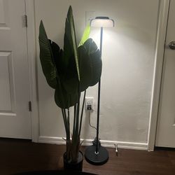 LED multiple colors floor lamp