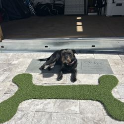 Pet & Kid Friendly Artificial Grass