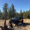 That Jeep Guy 