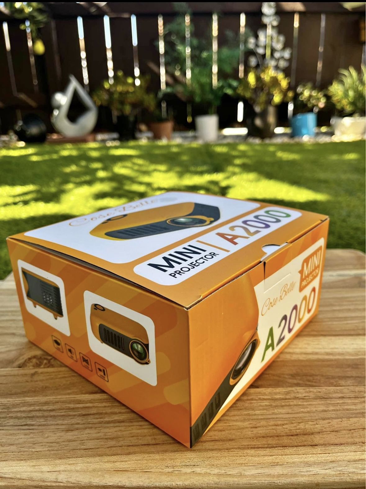 Mini Projector
