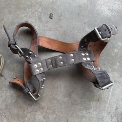 Dog Harness