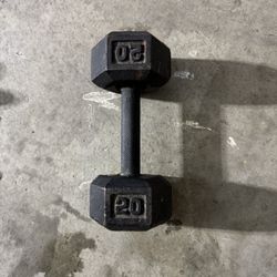 20lb Dumbbell (single)