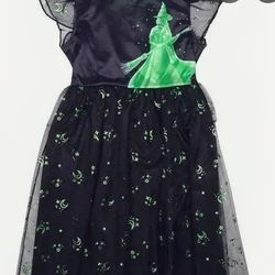 Wicked girls night gowns new  Alpha  and Glenda $20 each**