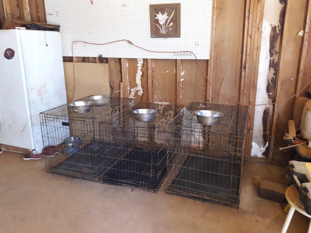 XXL Dog Crates