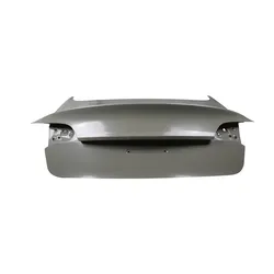 Tesla Model 3 Trunk Lid Liftgate 2017-2020 1081460-E0-D