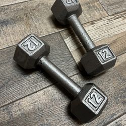 Two Like New Cast Iron Steel 12 Pound Dumbbells 