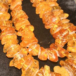 Real Colombian Baltic Amber