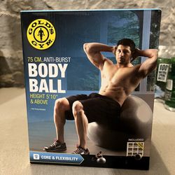 Gold’s Gym 75 cm Anti-Burst Exercise Body Ball