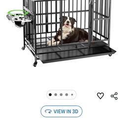 Dog House