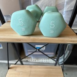 5lb Dumbbells 