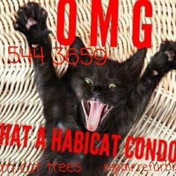 Cat tree. Cat tower. Cat scratcher. Cat bed. Cat condo. Cat post