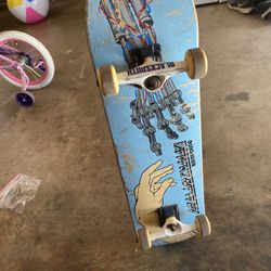 Birdhouse skatebord