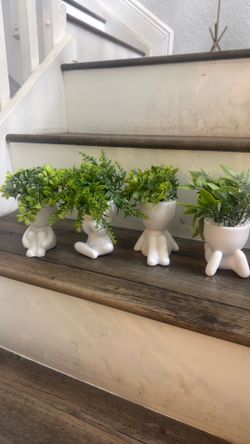 Plant Figures