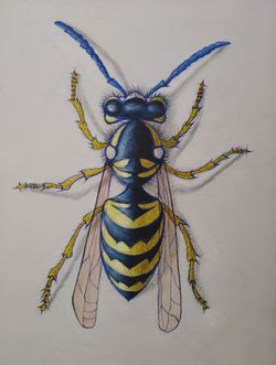 Yellow Jacket Artwork Acrylic Painting Size 16x20 inches