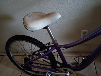 Trek 24 inch mountain bike