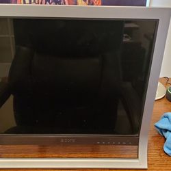 19 Inch Sony Monitor