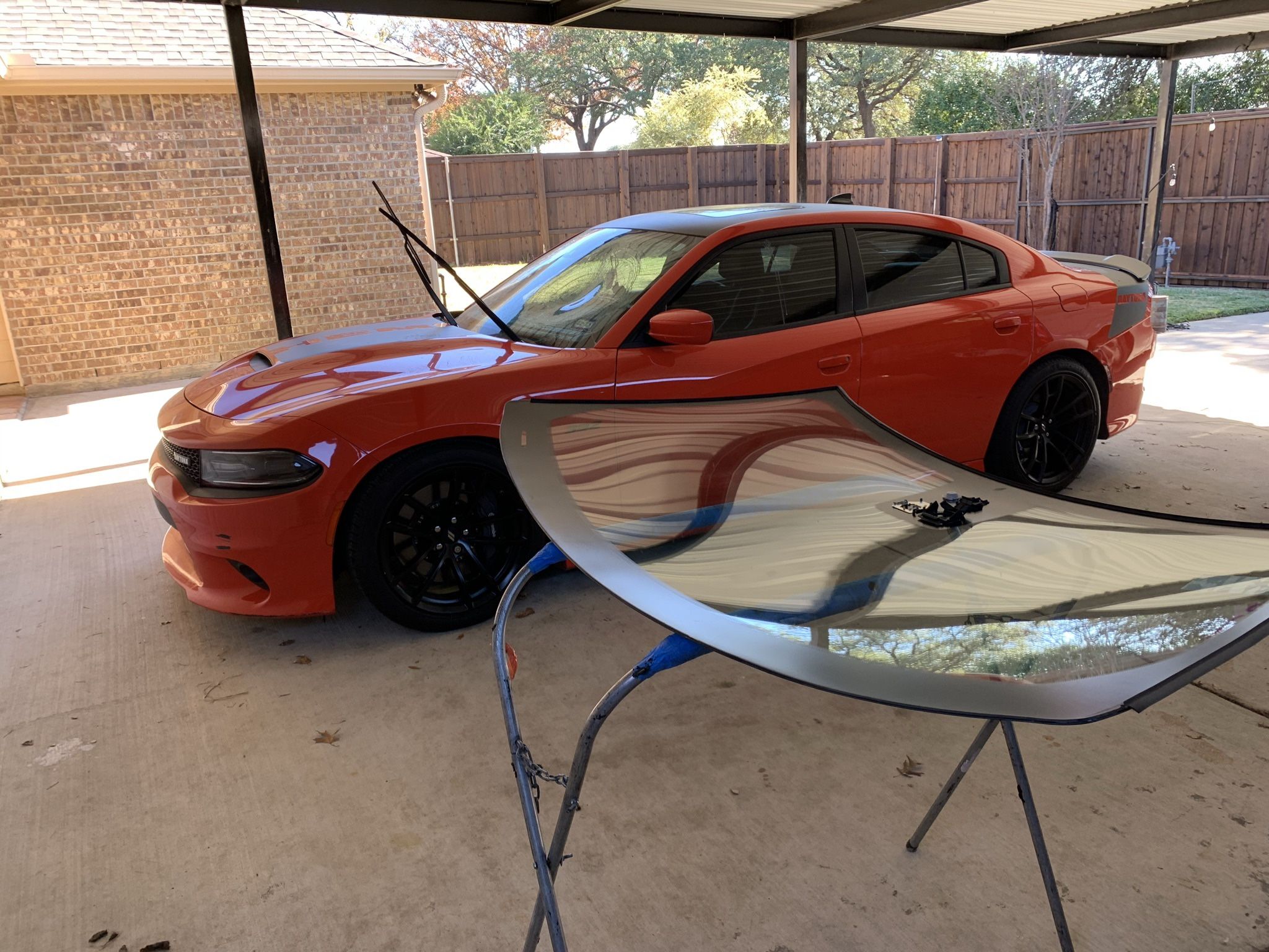 Auto Glass