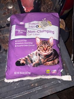 Cat sand