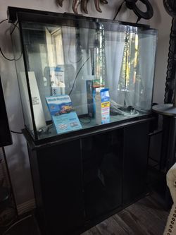 Aquarium plus stand