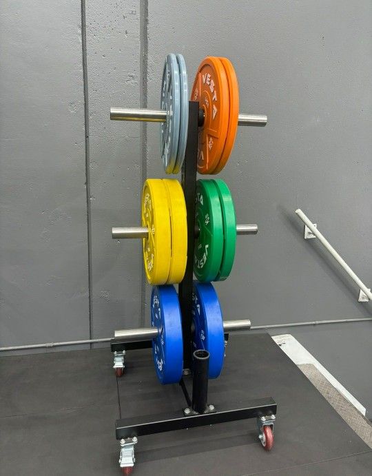 NEW Bumper Plates, Rubber Olympic Weights, Home Gym Weight Set, Folding Squat Rack, Adjustable FID Bench Press, Stall Mats, Rubber Flooring