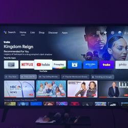 Phillips 50 Inch $250 Lowest Offer 