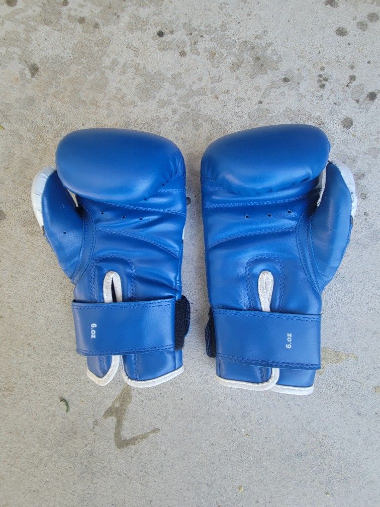 Workout Boxing Gloves