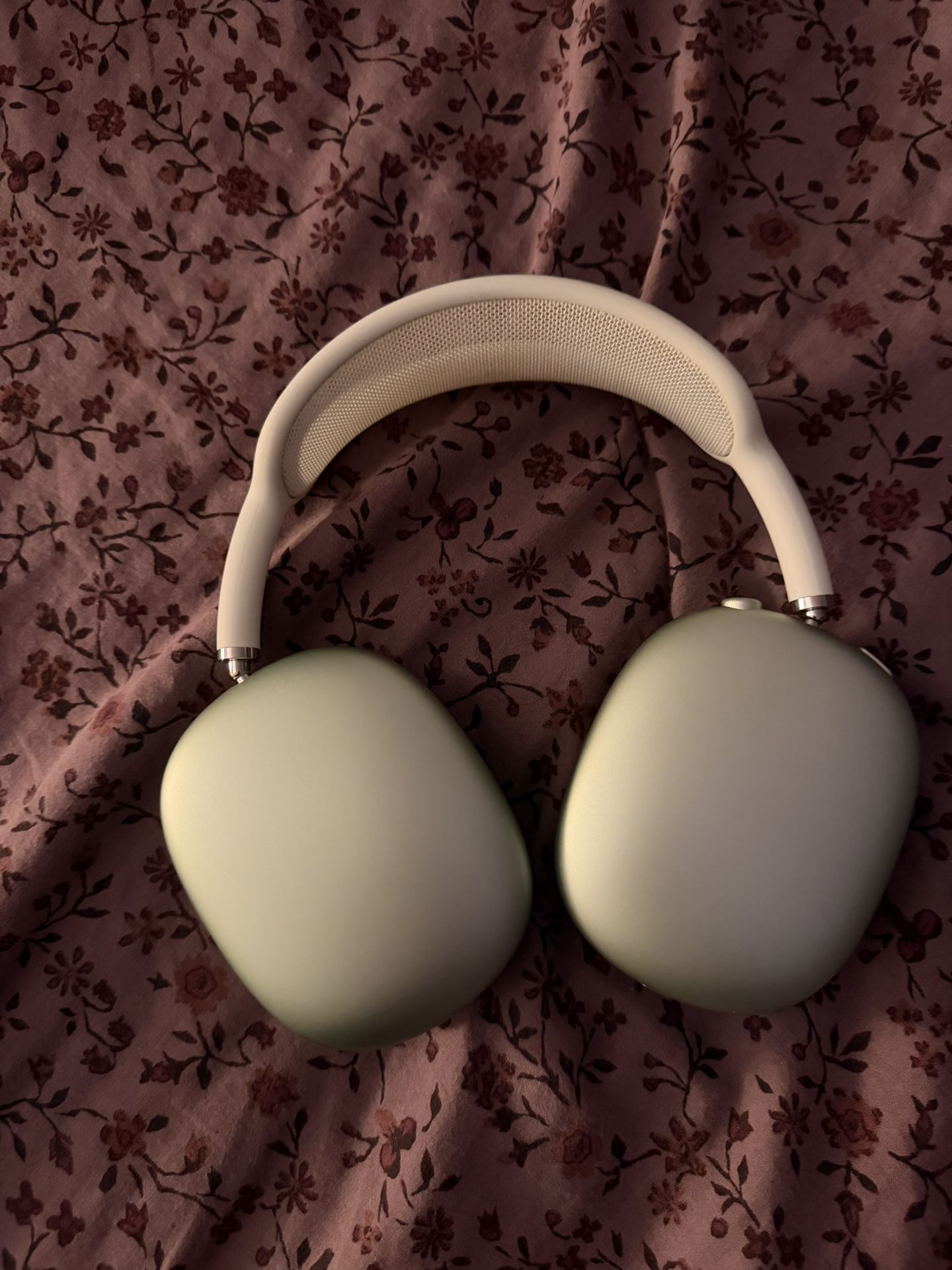 Apple Max Headphones : Light Green