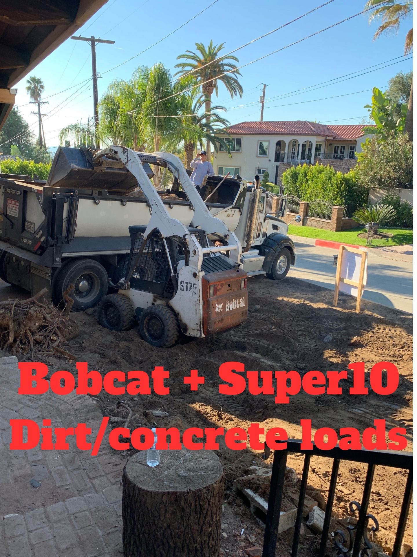 Bobcat And Super 10