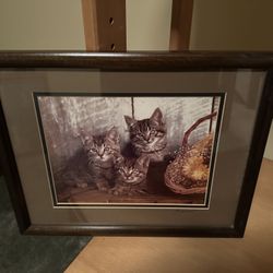Framed Picture of Kittens 