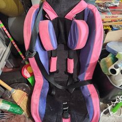 Roosevelt Special Needs Car Seat 