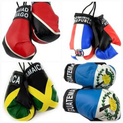 Hanging Car Mirror Mini Boxing Gloves