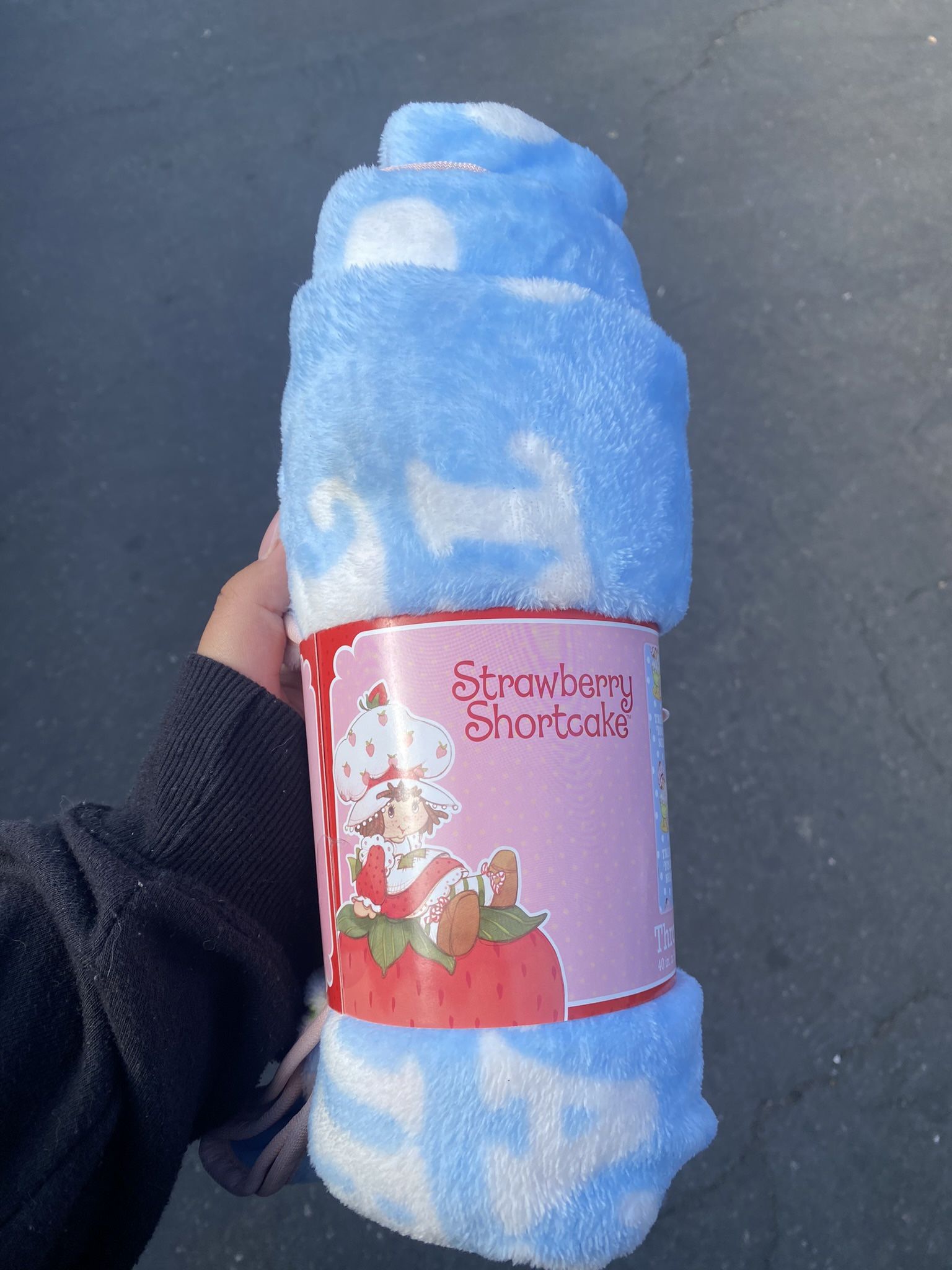 Strawberry Shortcake Blanket