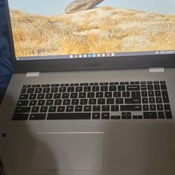 Chromebook 17.3 Inch