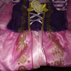 Princess Dress Halloween Costume Size 2 To 3