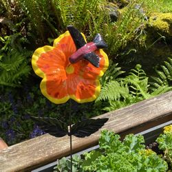 Unique Hibiscus With Hummingbird 